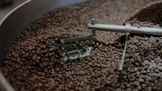 How Freshness Affects Coffee Flavor: What Every Café and Coffee Drinker Should Know