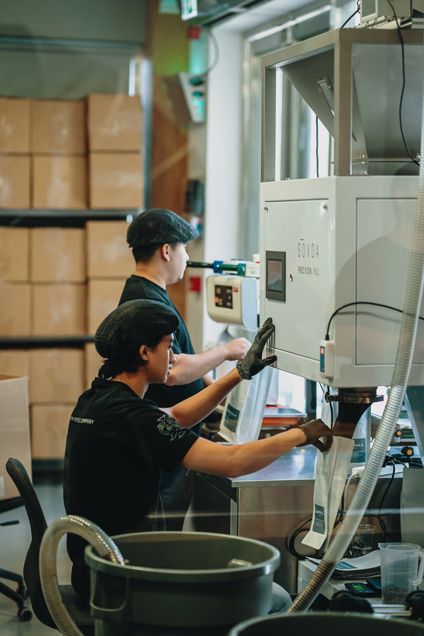 The Best Coffee Beans: How to Choose and Brew Exceptional Coffee in the UAE