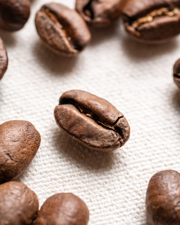 The Art of Specialty Batch Coffee Roasting Explained