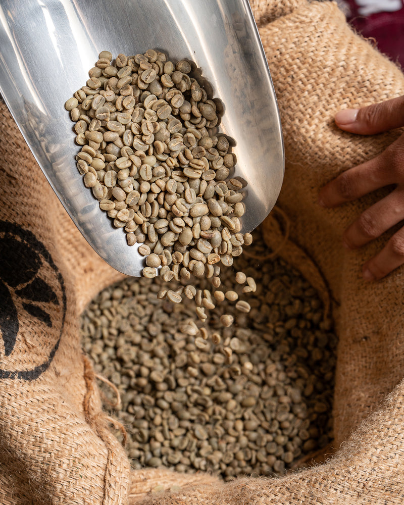 Unlocking the Secrets of the Perfect Cup: A Journey Through the World of Coffee Beans
