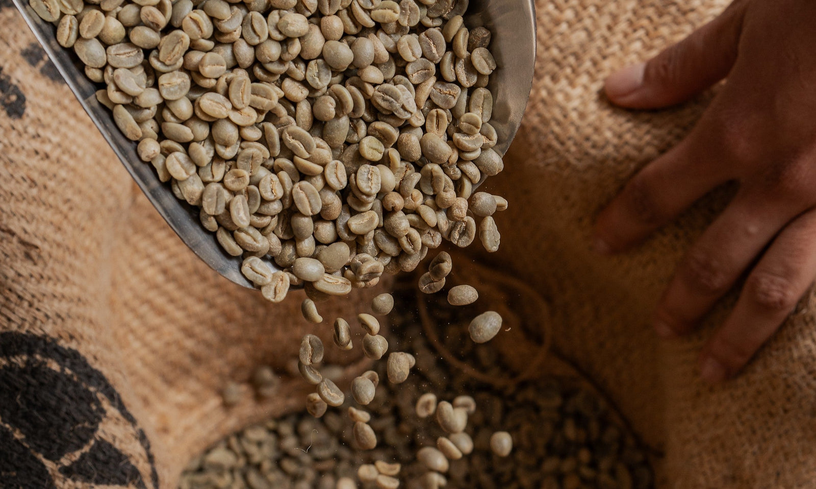 Unlocking the World of Specialty Coffee: A Guide to Savoring Every Sip