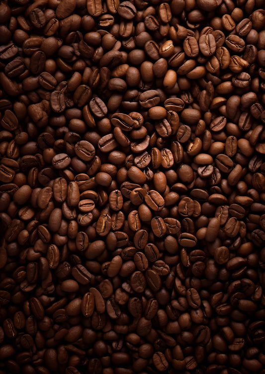 The Science Behind Coffee Roasting in Specialty Coffee Dubai