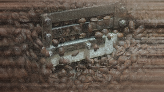 Unlocking the World of Specialty Coffee: A Guide to Savoring Every Sip