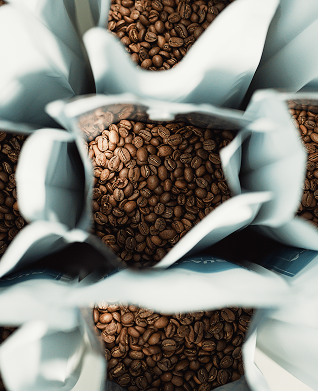 Understanding Coffee Varietals in Specialty Coffee Dubai