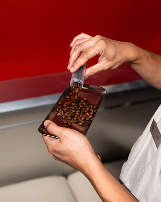The Best Coffee Beans: How to Choose and Brew Exceptional Coffee in the UAE