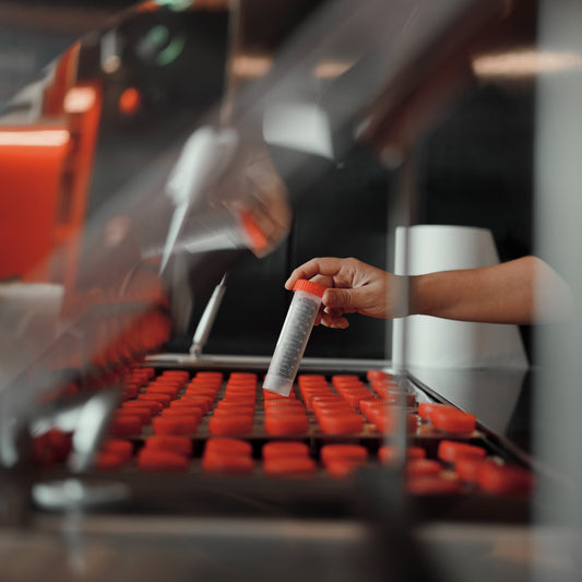 Unlocking Freshness: Can Coffee Beans Be Frozen? Discover "Below Zero Beans"