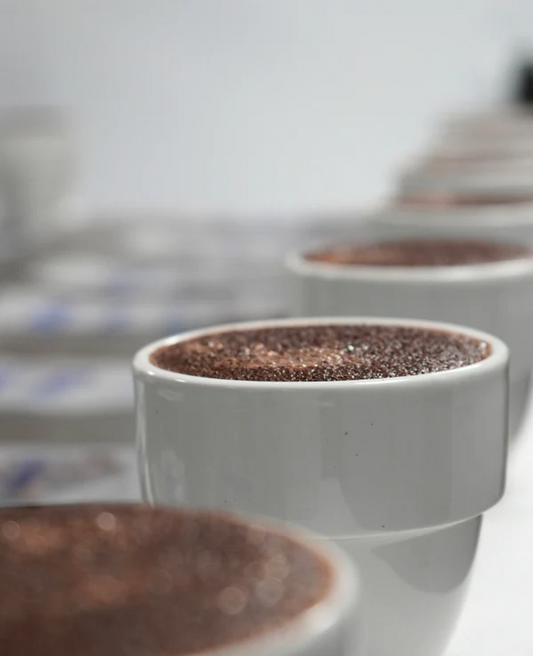 Why your coffee tastes different every time (even with the same beans)