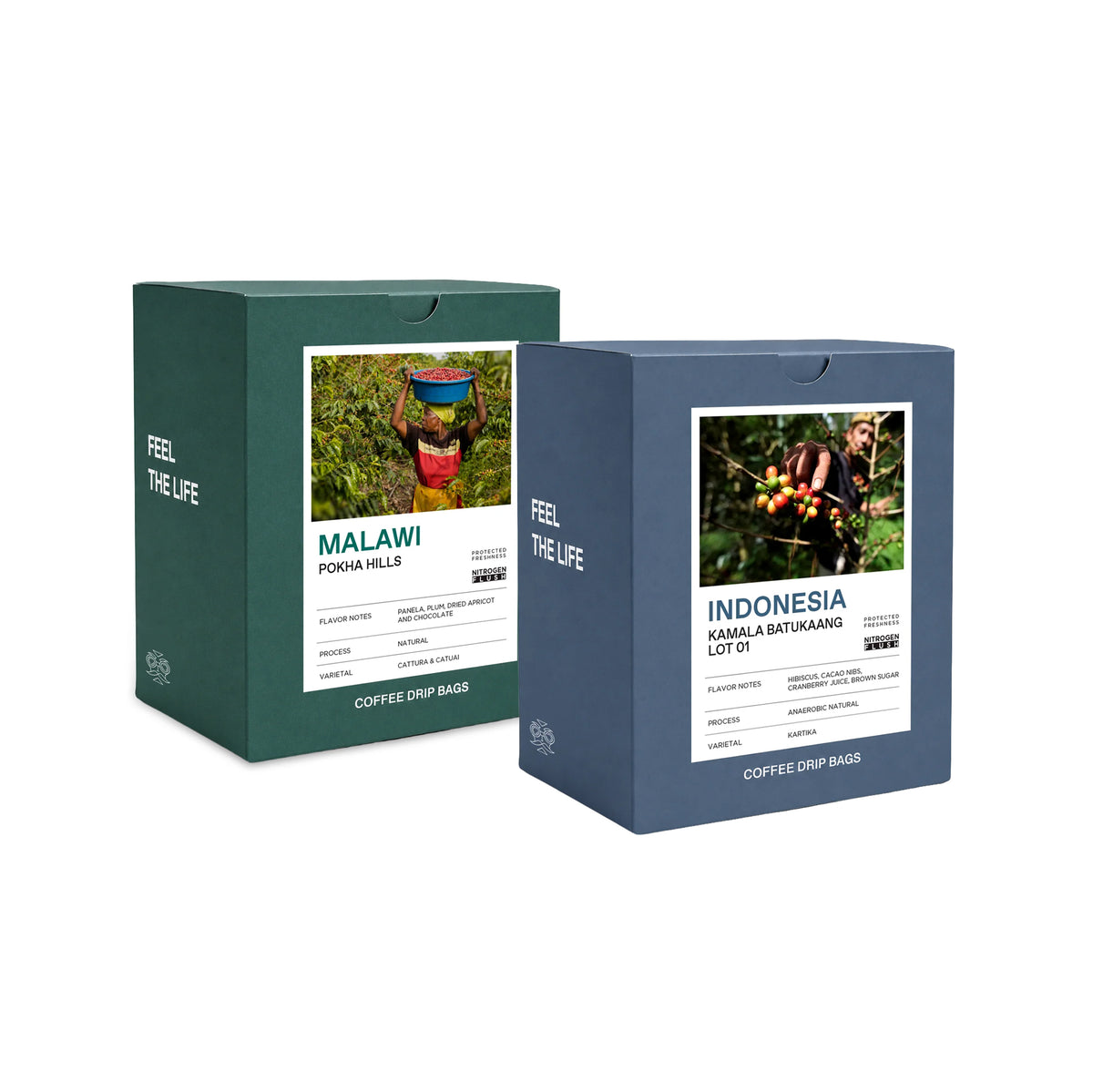 Drip Bag x2 boxes