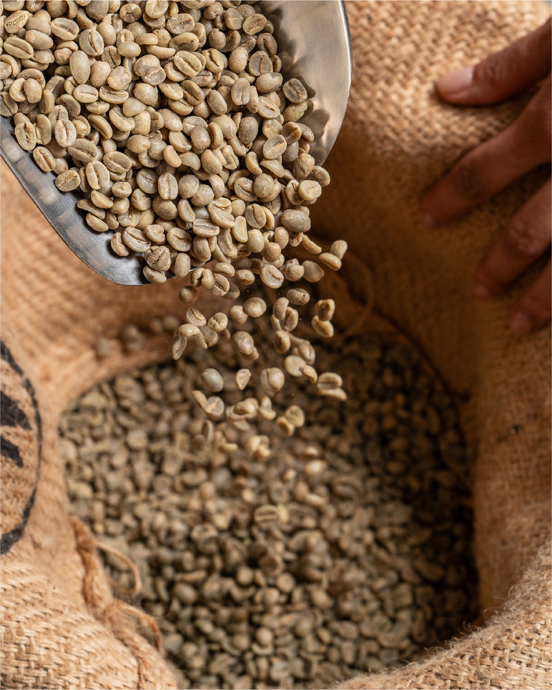 Single origin coffee beans in UAE