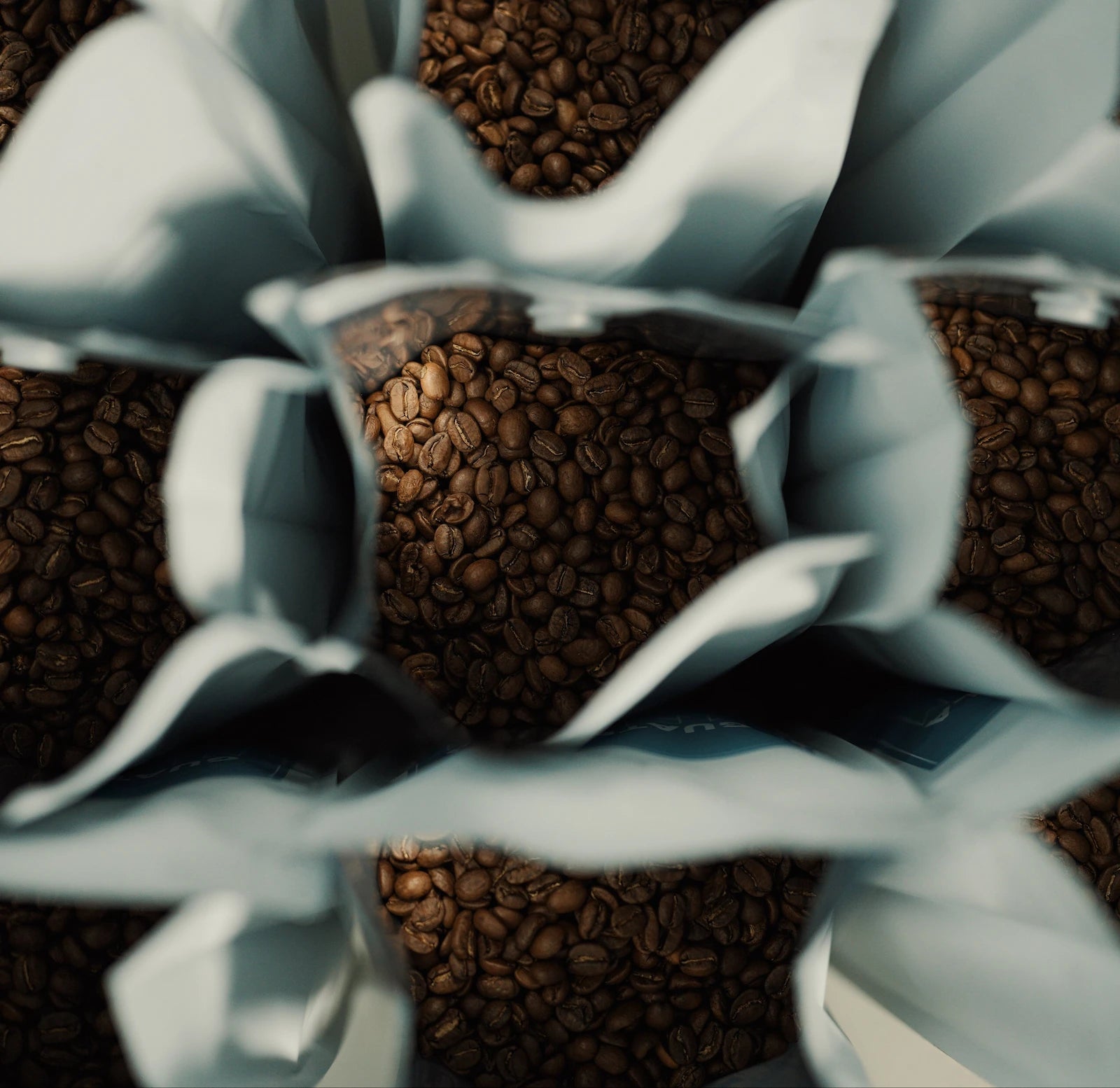 Fresh roasted specialty coffee beans in pouches from Blacksmith Coffee Company in Dubai UAE.